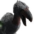 67.jpg BIRD OF PREY TERROR HORROR DEMON DEVIL RAPTOR DINOSAUR WINGS FLYING PREHISTORIC CHARIZARD TERROR BIRD ANIMATED - BLENDER - 3DS MAX - CINEMA 4D - FBX - MAYA - UNITY - UNRE / EVIL / MONSTER Dinosaur