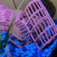 MVIMG_20190827_165613.jpg Lobster Cages for Shrimp/Fish Tank
