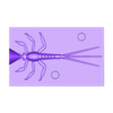 partie-inf.stl dragonfly larva mussel