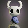 IMG_20240201_151819.jpg HOLLOW KNIGHT