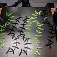 vines-1.jpg Виноградники