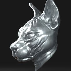 Cat (3).jpg Fichier STL Tête de sphynx de chat・Modèle à télécharger et à imprimer en 3D