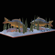 carp-scenery-45cm-6.png two carp scenery in underwather for 3d print detailed texture