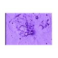 Aristarchusregionmoon3xv.stl Aristarchus Region