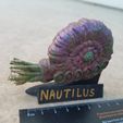 Nautilus Class.jpg Nautilus Class Organic Starship