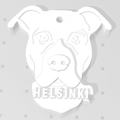 helsinki-captura.png American Stanford Terrier Identification or key chain