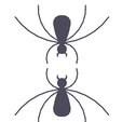 D.png spiderman spider