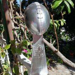 WhatsApp Image 2021-01-22 at 8.37.59 AM.jpeg Datei STL Vince Lombardi Trophy・Design für 3D-Drucker zum herunterladen