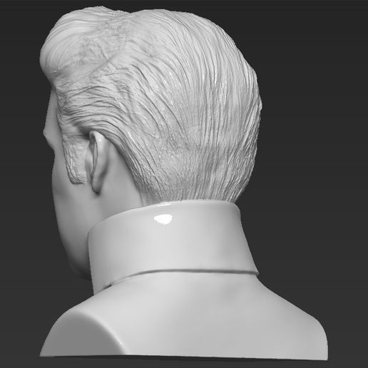 5.jpg 3D file Elvis Presley bust 3D printing ready stl obj・Template to download and 3D print, PrintedReality