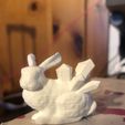 40272EB7-A017-49DF-948D-401ED2CF3EB5.jpeg Crystal Rabbit
