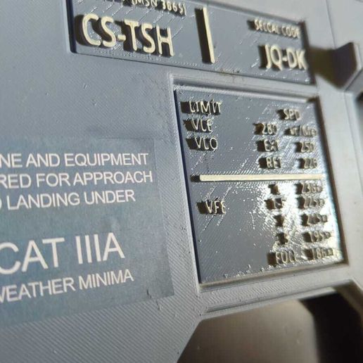 bcaa54a8-82c8-4d22-a545-388128b99f84.jpg Регистрационная табличка самолета A320 mip (CUSTOM)