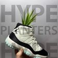 IMG_2414.jpg Jordan 11 High Concord L&R Ikea planter