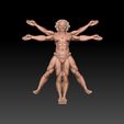 vitman-sep1.jpg Vitruvian Character Display Royalty Free Version