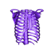 Ribcage_stl.stl STL file Ribcage・3D printable model to download