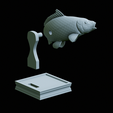 Carp-trophy-statue-47.png fish carp / Cyprinus carpio in motion trophy statue detailed texture for 3d printing