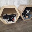 20240103_204214.jpg Laser Cut Plywood (3 mm thick) Easy Cat House