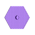 Bee feeder.stl Free STL file PET bottle bee feeder・3D printing design to download