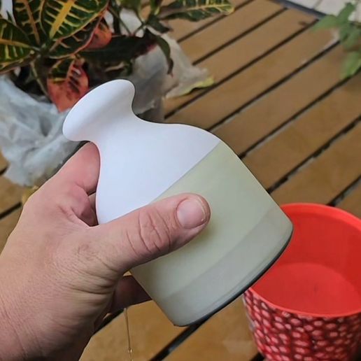 Screenshot_20250910_205435_TikTok-1.jpg Regadera Viral Bell