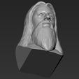 22.jpg Dumbledore from Harry Potter bust 3D printing ready stl obj