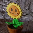 untitled.png Sunflower plants vs zombies - sunflower plants vs zombies