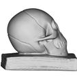 SkullOnBook0.jpg Crane sur Livre - Skull on Book