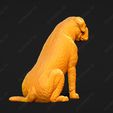 3045-Bullmastiff_Pose_06.jpg Bullmastiff Dog 3D Print Model Pose 06