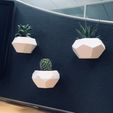 IMG_1968.jpeg STL-Datei TRIO'PICAL・Design zum Herunterladen und 3D-Drucken