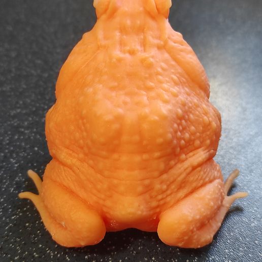 Cane_Toad_cult3d_03.jpg sapo de cana uma peça