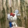 1.jpeg Hello Kitty Half Skeleton