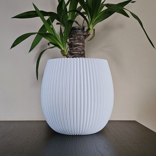 Sansev Vase - 3D model önizlemesi