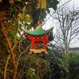 20230113_110251.jpg Japanese Air Temple Bird Feeder