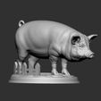 3.jpg PIG