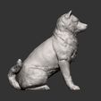 shiba-inu10.jpg shiba inu 3D print model
