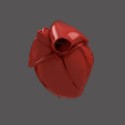 4.png HEART SEGMENTAION WITH CUT SECTIONS