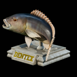 Dentex-trophy-14.png fish Common dentex / dentex dentex trophy statue detailed texture for 3d printing