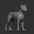 boxer10.jpg Boxer dog 3D print model