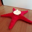 IMG_20190729_103256.jpg candlesticks and starfish