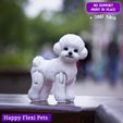 5.jpg Caniche Toy - Bichon Frise el juguete articulado realista para perro (#38)