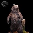 044.jpg Grizzly Bear and Scenic Base Presupported