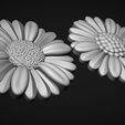 06.jpg Fleurs de marguerite bas relief modèle 3D