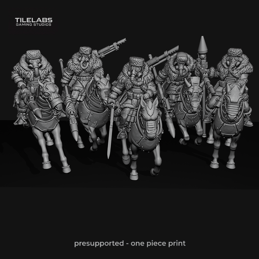 Imperial Ice Warriors - Tough Riders