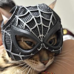 SPIDER CAT PETER PARKER - Mask