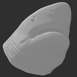 Screenshot-2023-03-12-155156.png Shark Head Bust Wall Art