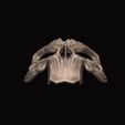 11.JPG Death Mask - Darksiders 3D print model