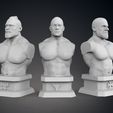 000-Current_Cover_Pack_WWE.jpg Current WWE Pack Busts - The Rock - Triple H - Brock Lesnar