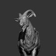Goat8.jpg Goat 3D print model