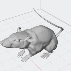 Free 3D file TEST SHAPE Z100s, Symmetric Wireless 3D Printed Mouse 🐁・3D  print design to download・Cults