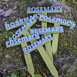 Rosemary_All.png Herb Labels - Value Pack
