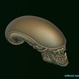 16.jpg Xenomorph Alien biomechanical head