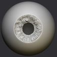 11.jpg Human eye